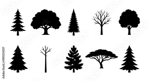 Black tree silhouettes collection, set of 10 forest and park tree icons, minimalist pine and deciduous tree vector shapes for landscape design
