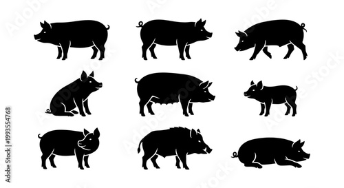 Black pig silhouette collection, set of 9 farm animal vector icons, domestic swine and wild boar silhouettes for butcher shop and livestock farming