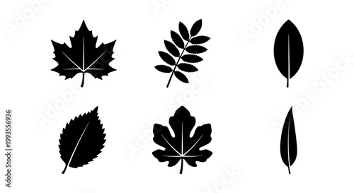 Black leaf silhouette icons set, 6 minimalist autumn foliage vector elements, flat botanical leaf shapes for nature logo design and seasonal branding