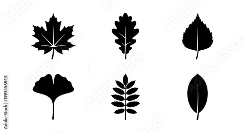 Minimalist black leaf silhouettes set, 6 botanical tree leaf icons including maple and oak, flat vector foliage elements for nature branding