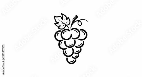 Stylized bunch of grapes with a single leaf on a vine