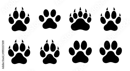Animal paw prints vector set, black silhouette bear and wolf tracks with claws, 8 wildlife foot print icons for hunting and nature design