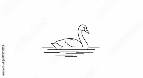 Elegant swan glides serenely on calm water in a minimalist outline
