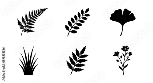Black botanical leaf silhouettes set, minimalist plant foliage icons, collection of 6 floral vector elements including fern and ginkgo biloba
