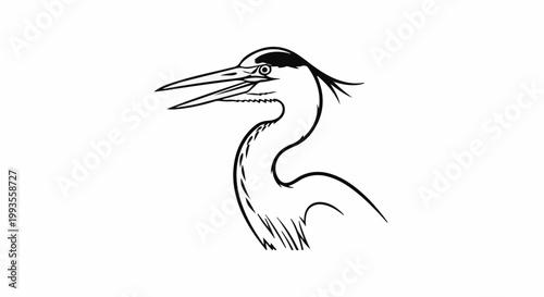 Black and white sketch of a heron's head and neck with open beak
