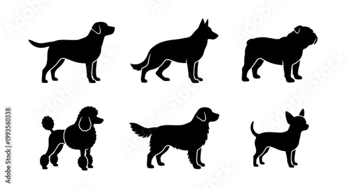 Dog breed silhouette collection, set of 6 canine vector icons, black pet animal profiles including labrador shepherd bulldog poodle retriever and chihuahua