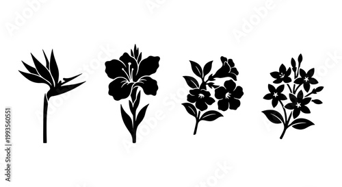 Tropical flower silhouettes vector set, black floral botanical icons including bird of paradise and hibiscus, minimalist garden plant graphics for logo design