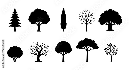 Black tree silhouettes set, 10 botanical vector icons, minimalist forest and garden plant shapes, deciduous and evergreen tree collection for landscape design
