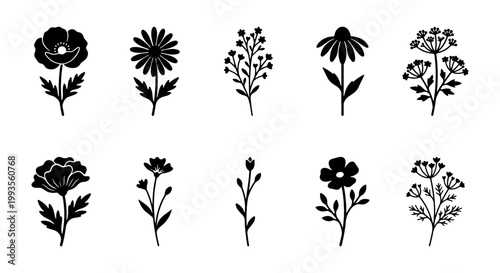 Minimalist black floral silhouettes, set of 10 botanical wildflower icons, hand drawn meadow plant vector elements for wedding stationery and logo design