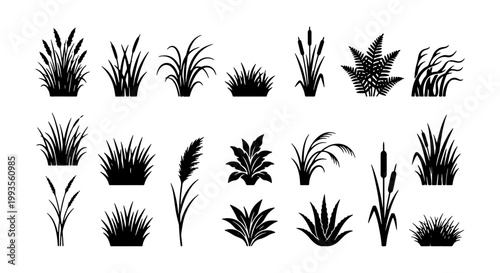 Black grass silhouette set, 21 botanical plant icons, marsh reed and cattail vector collection, wild meadow greenery for landscape design