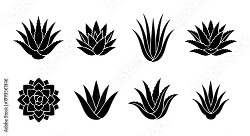 Aloe vera silhouette icons set, black succulent plant vector collection, 8 botanical agave and cactus elements, minimalist desert flora graphics