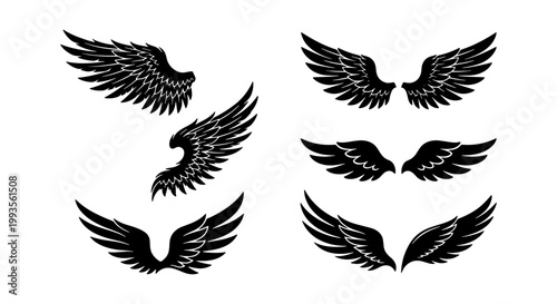 Black wing silhouettes set, eagle and hawk bird wings vector collection, gothic angel wing icons for tattoo design and heraldry branding