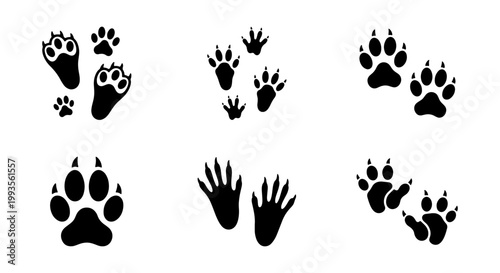 Animal paw prints collection, black wildlife track silhouettes, set of 6 predator and mammal footmarks, nature trail vector icons