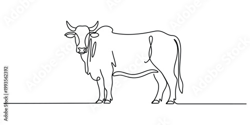 Continuous line drawing of a zebu cow