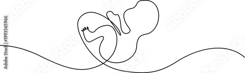 Fetus development illustration inside the womb with umbilical cord connection. Vector