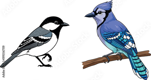 Cartoon Bird Vectors Featuring Chickadee and Blue Jay on Branches for Nature and Wildlife Illustration Use