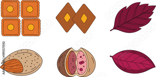 Set of Biscuits, Almonds, and Leaves for Food, Snack, and Natural Designs, Vector Art