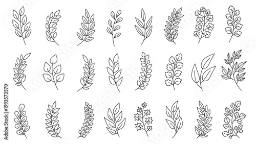 Collection of black line botanical doodles showing assorted leafy branches and flowering sprigs on a white background. Vector illustration