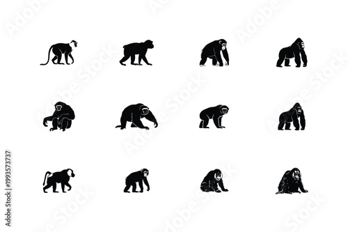 Monkey ape gorilla silhouette set vector primate animal icons