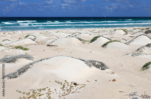 Dune landscape at Praia de Atalanta in the north of the island of Boa Vista, Cape Verde, Africa