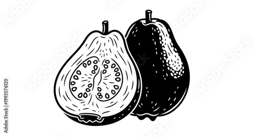 pear on a white background