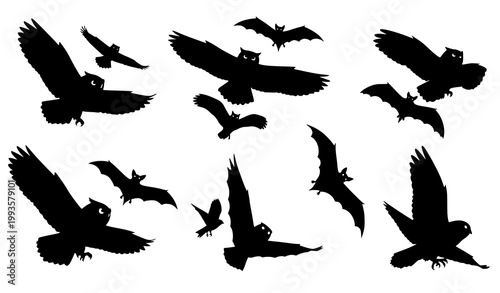 Creative night flyers silhouette collection owls bats birds flying black vector illustration set isolated on white background