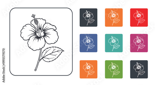 Collection features a main black and white hibiscus flower illustration next to nine colorful square icons of the same floral design.