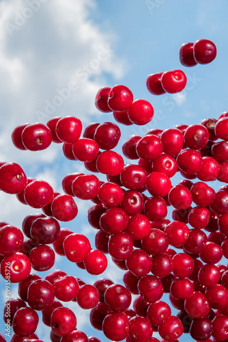 Flying Red Cherries Against Blue Sky