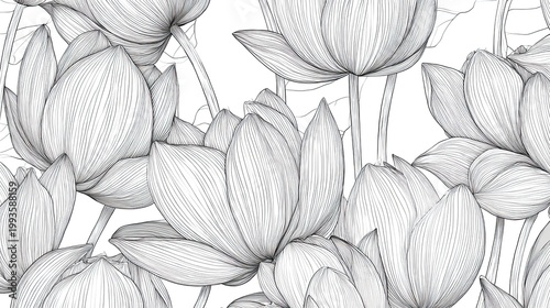 Elegant black and white lotus flower pattern for decorative designs