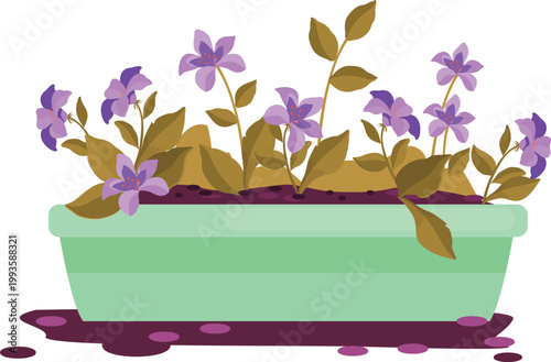 Purple flowers in a green garden planter box isolated on transparent background