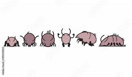 Cartoon dust mite characters vector collection with playful microbe icons in flat design isolated on white background