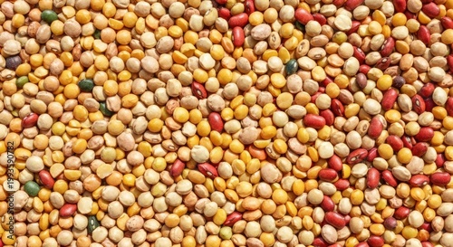 A close-up of a colorful mixture of dried beans and legumes