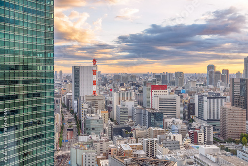 Tokyo cityscape at sunrise in autumn