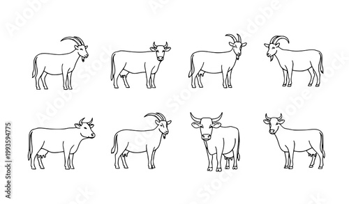 Minimal Farm Animal Line Drawing Set Goat and Cow Breeds Outline Vector Illustration