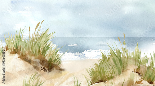 A sandy seashore with reeds. Hand-painted watercolor landscape. Isolated on a white background.