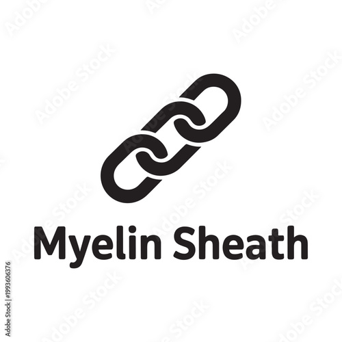 Illustration of a myelin sheath depicting linked chain like segments