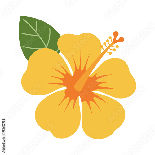 Yellow hibiscus flower with green leaf isolated on transparent background