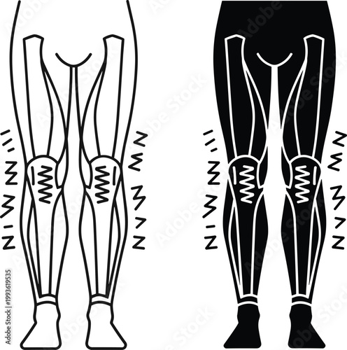 Stylized illustration of human leg muscles anatomy vibration stimulation medical diagram health physiology fitness education vector artwork design