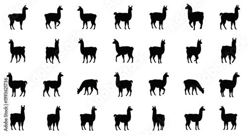 Collection of diverse black llama silhouettes showcasing various poses and actions against a clean white background ideal for graphic design and conceptual art