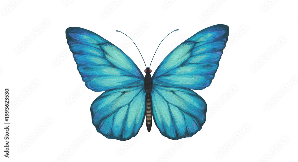 Fototapeta premium blue butterfly transparent 