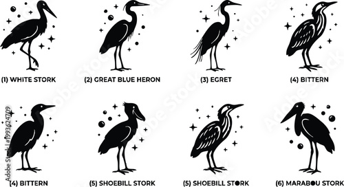 Silhouettes of white stork great blue heron egret bittern shoebill marabou birds in black and white