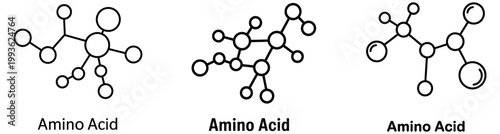 3D molecular structures of amino acids in scientific illustration for biochemistry education