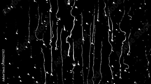 Water Drops Running Down Surface – High Contrast Black and White Background