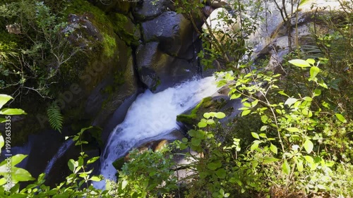 Crystal clear turquoise river rapids surrounded by native New Zealand forest