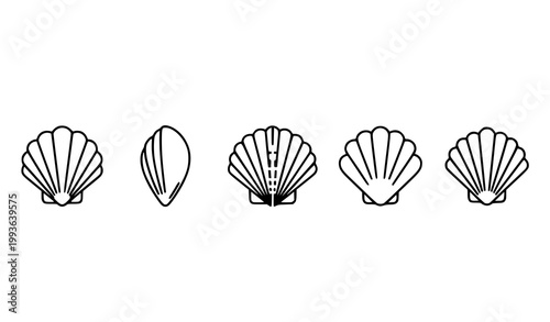 Schilderij op canvas Scallop shell line icons horizontal lineup vector with coastal marine logo eleme