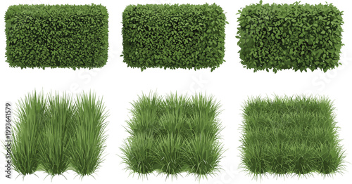 Green Bush and Grass Vector Set with Garden Hedge Shrubs Lawn Plants and Natural Landscape Elements Illustration Collection