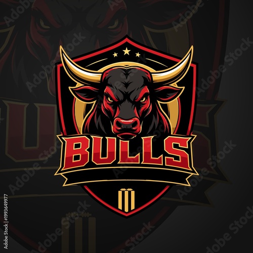 Bulls Cricket Team Logo - DP