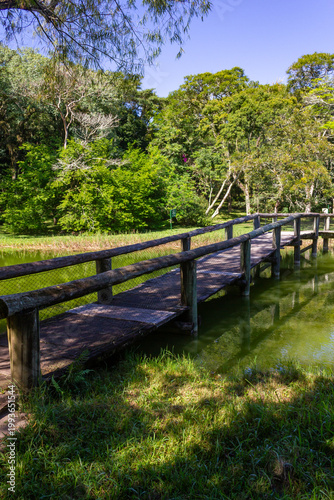 Wooden bridge over a pond with a nature trail in Porto Alegre Botanical Garden, Brazil.