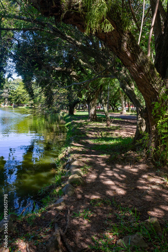 Lake and lush trees at Redencao Park in Porto Alegre, Brazil