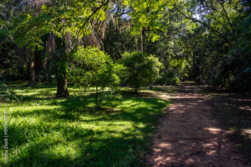 Forest path through dense trees at the Botanical Garden in Porto Alegre